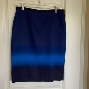Ann Taylor Loft Pencil Skirt NWT